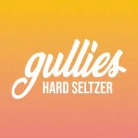 Gullies